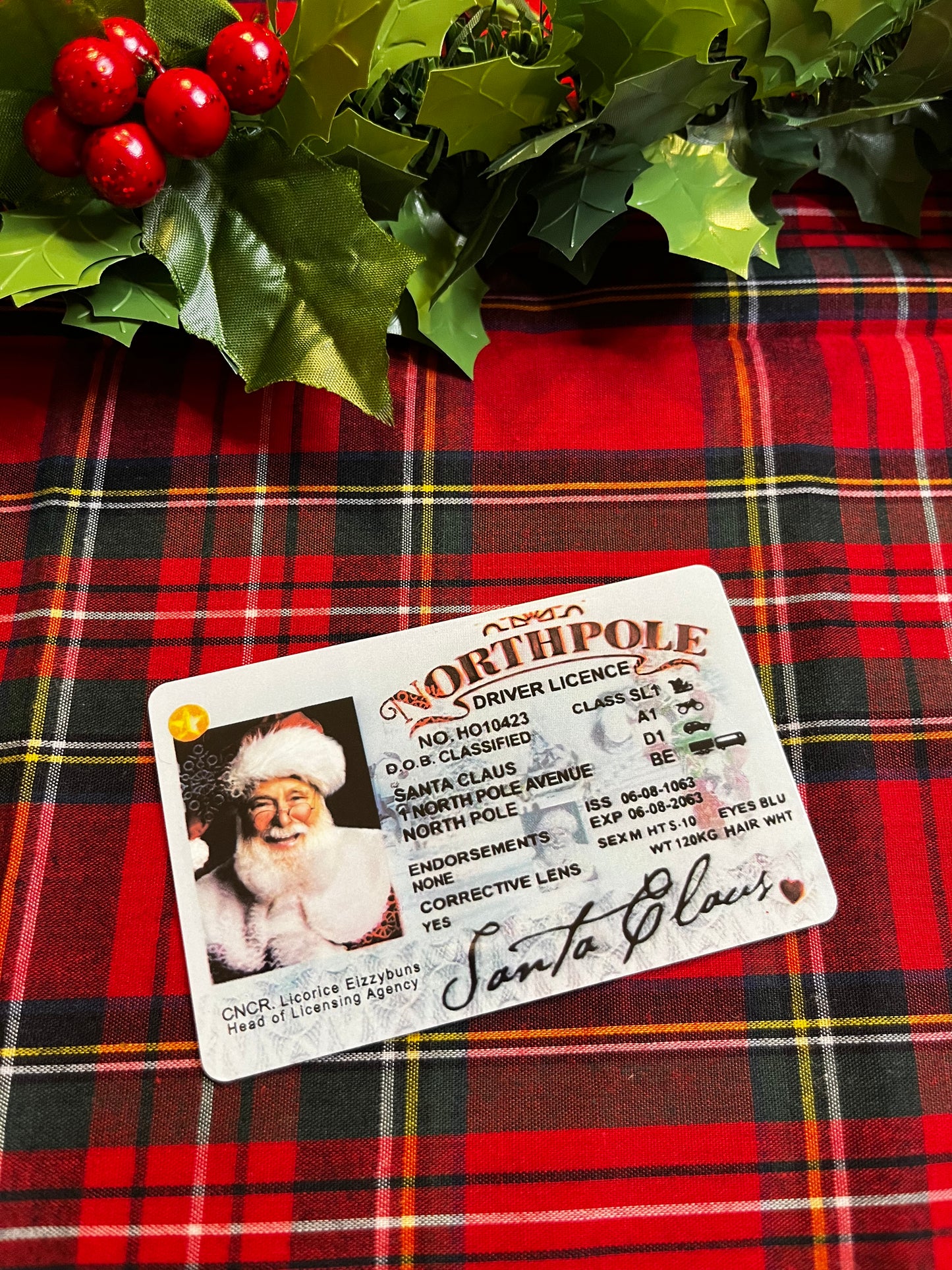 Santa Claus’ Driving License