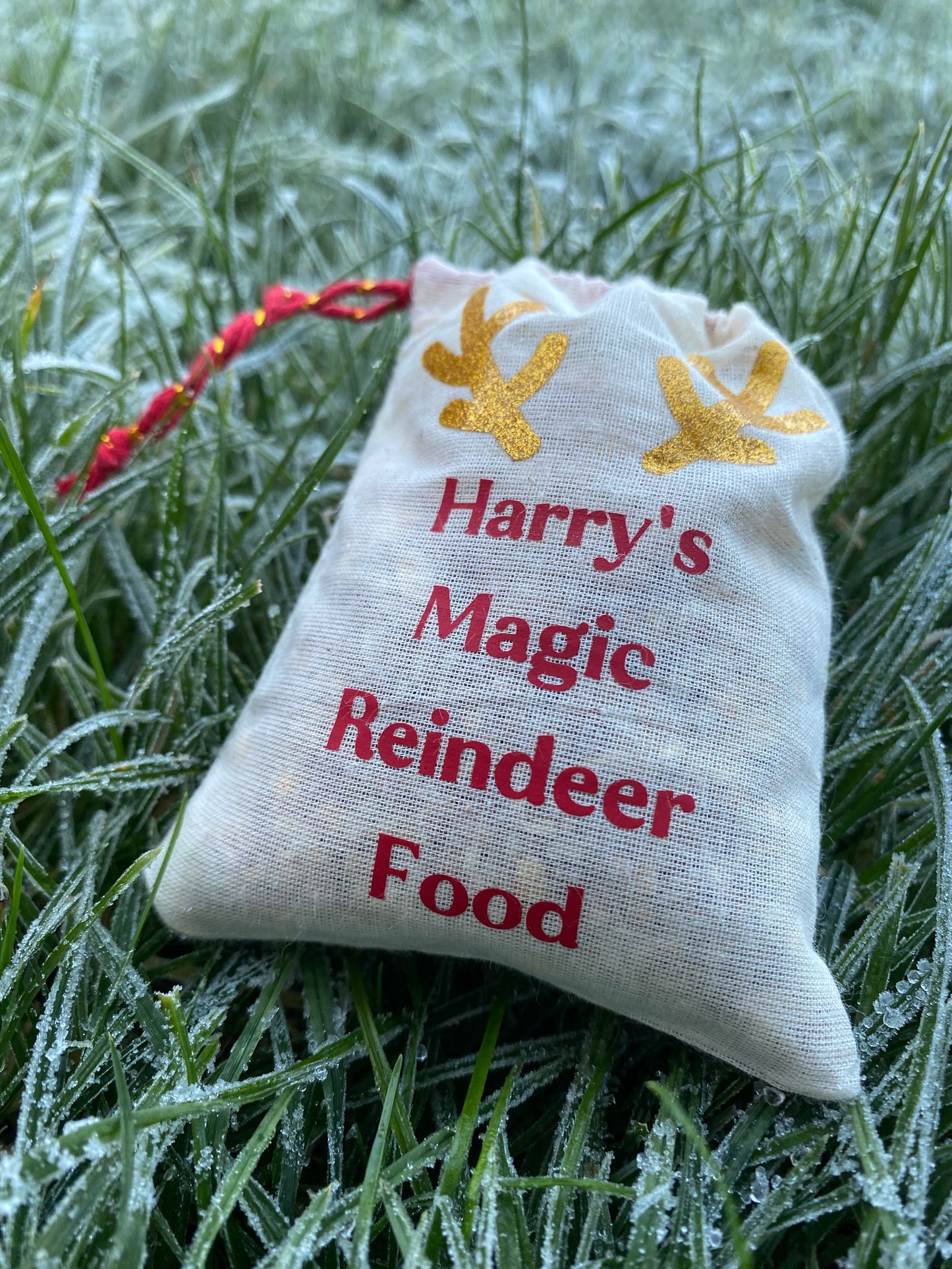 Personalised Magic Reindeer Food