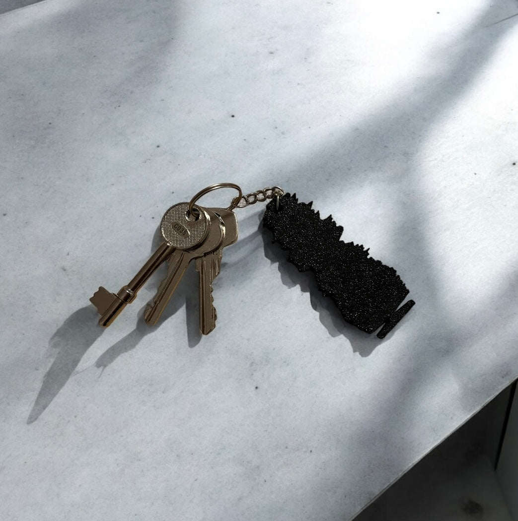Soundwave Keyrings